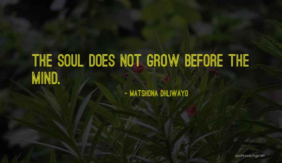 Delachaux Conductique Quotes By Matshona Dhliwayo Delachaux Conductique Quotes By Matshona Dhliwayo