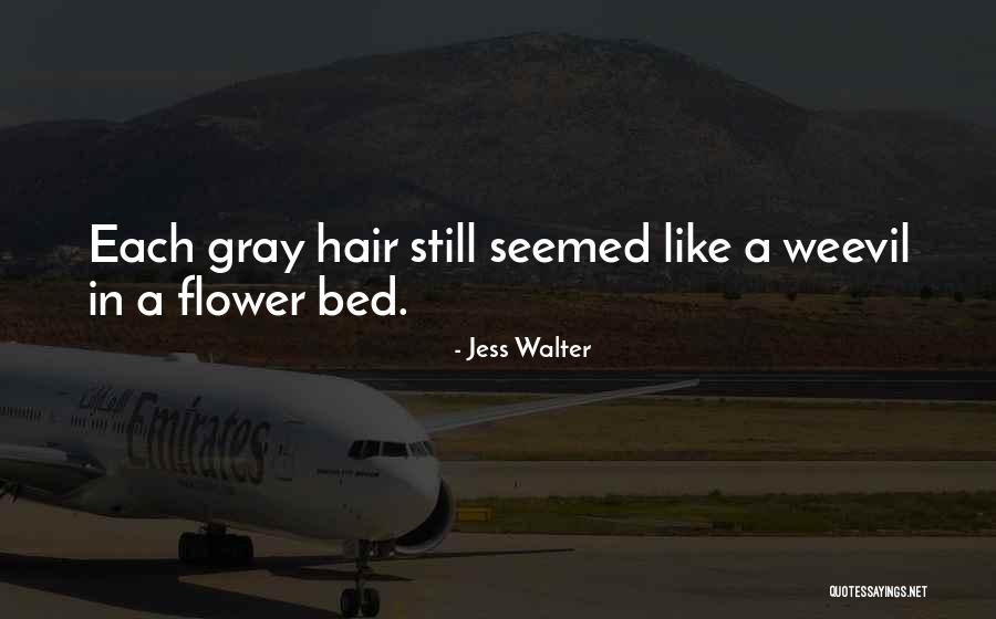 Delagardie Tallinn Quotes By Jess Walter Delagardie Tallinn Quotes By Jess Walter