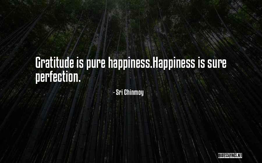 Delahoussaye Water Quotes By Sri Chinmoy Delahoussaye Water Quotes By Sri Chinmoy