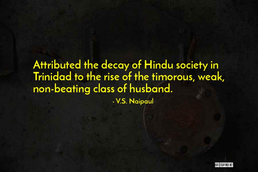 Delany Products Quotes By V.S. Naipaul Delany Products Quotes By V.S. Naipaul