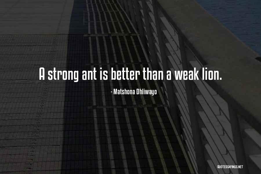 Delarosa Property Quotes By Matshona Dhliwayo Delarosa Property Quotes By Matshona Dhliwayo
