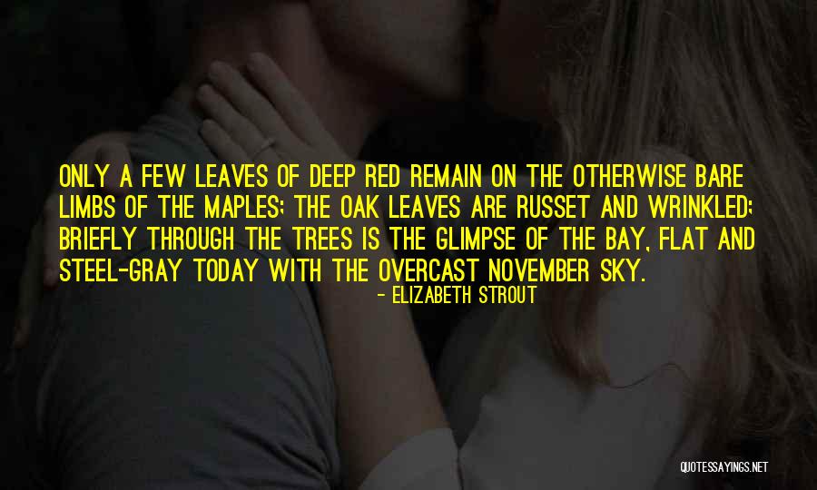 Delauder Woodworks Quotes By Elizabeth Strout Delauder Woodworks Quotes By Elizabeth Strout