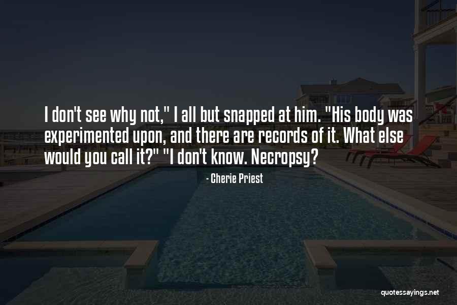 Delauders Bbq Quotes By Cherie Priest Delauders Bbq Quotes By Cherie Priest