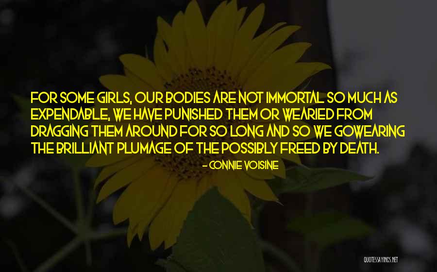 Delaura Dental Romeo Quotes By Connie Voisine Delaura Dental Romeo Quotes By Connie Voisine