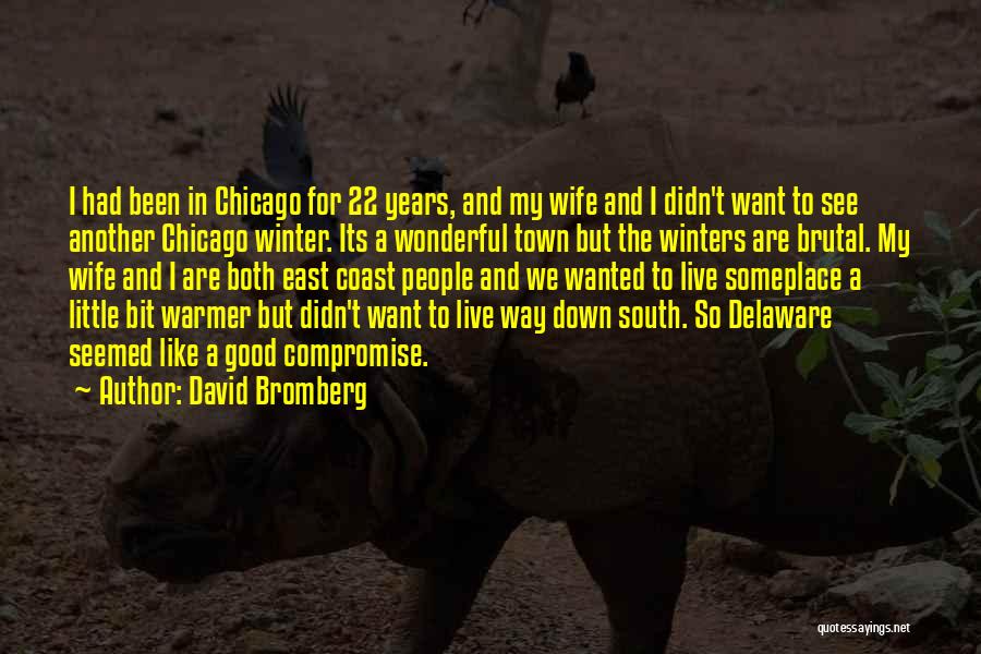 Delaware Quotes By David Bromberg