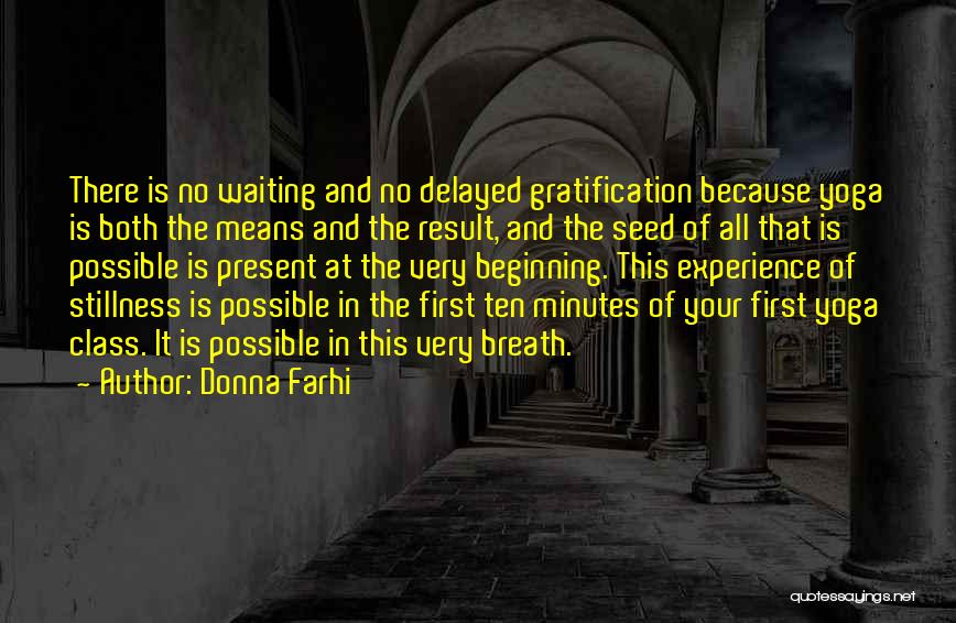 Delayed Gratification Quotes By Donna Farhi