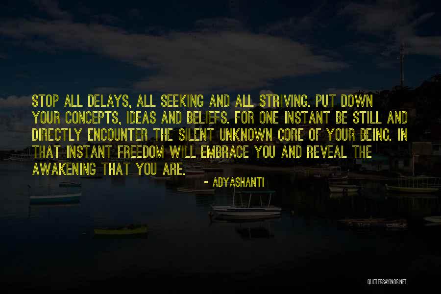 Delays Quotes By Adyashanti Delays Quotes By Adyashanti