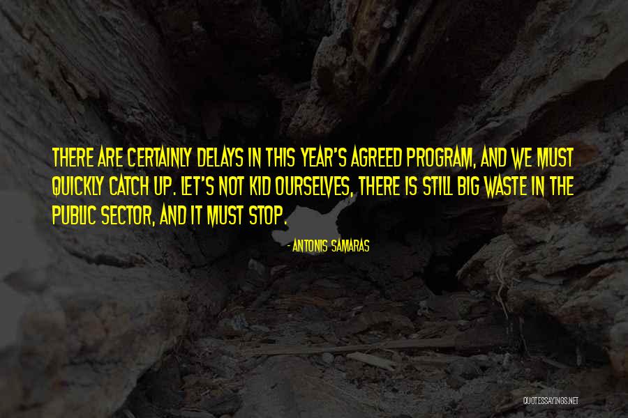 Delays Quotes By Antonis Samaras