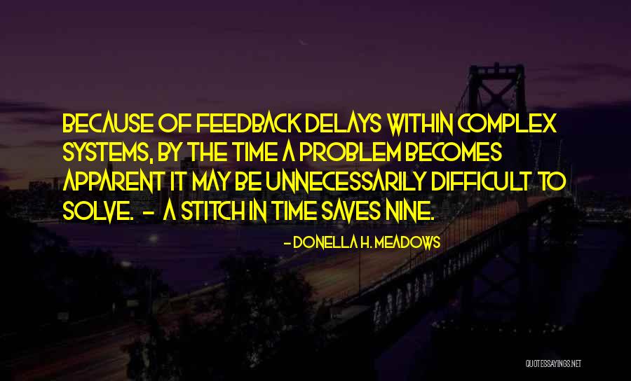 Delays Quotes By Donella H. Meadows