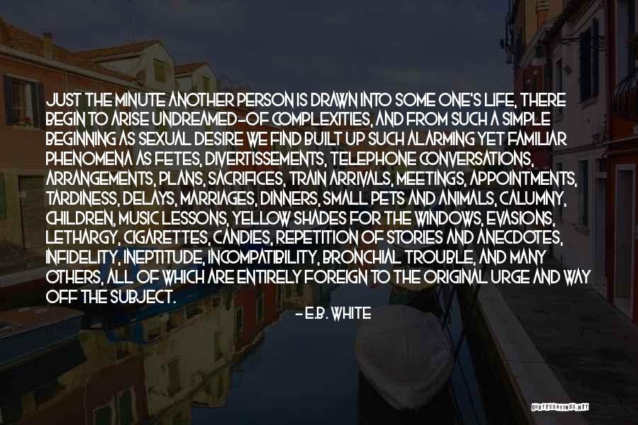 Delays Quotes By E.B. White