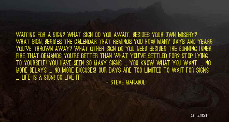 Delays Quotes By Steve Maraboli