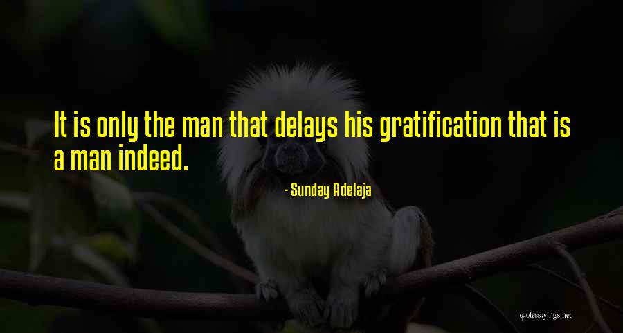 Delays Quotes By Sunday Adelaja