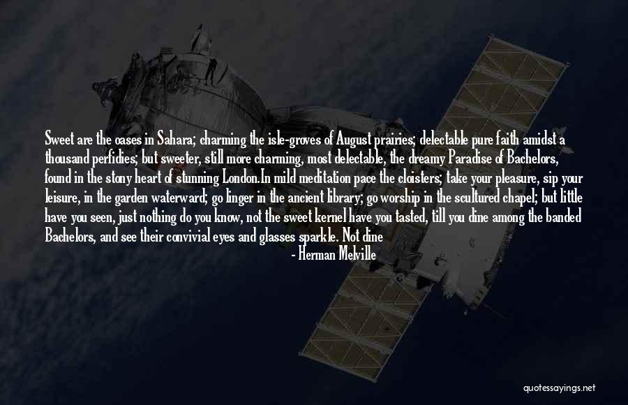 Delectable Quotes By Herman Melville