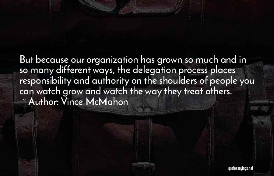 Delegation Quotes By Vince McMahon