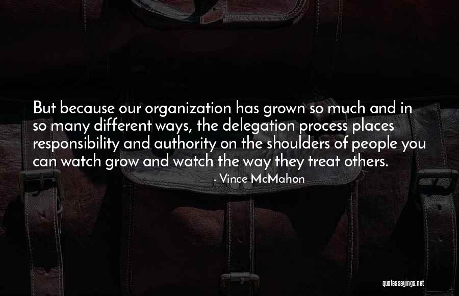 Delegation Quotes By Vince McMahon