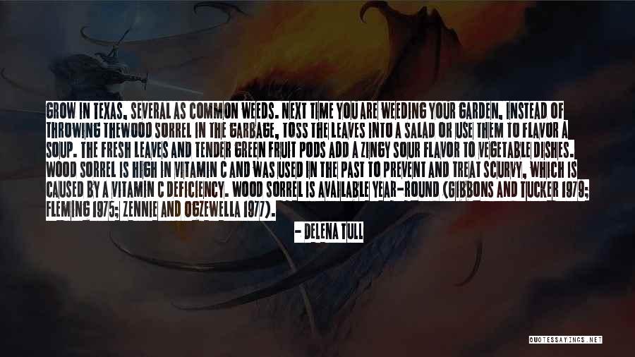 Delena Tull Quotes 566023 Delena Tull Quotes 566023