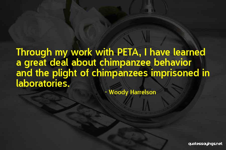 Delessio Shoes Quotes By Woody Harrelson Delessio Shoes Quotes By Woody Harrelson