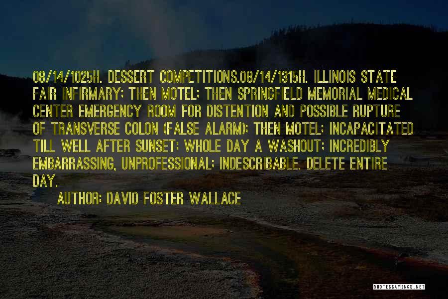 Delete Me Quotes By David Foster Wallace