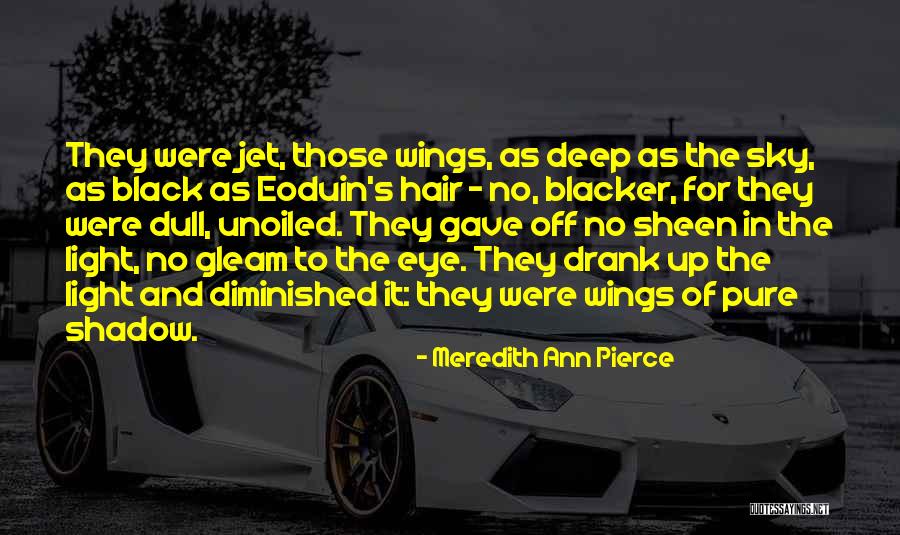Deletionist Quotes By Meredith Ann Pierce Deletionist Quotes By Meredith Ann Pierce