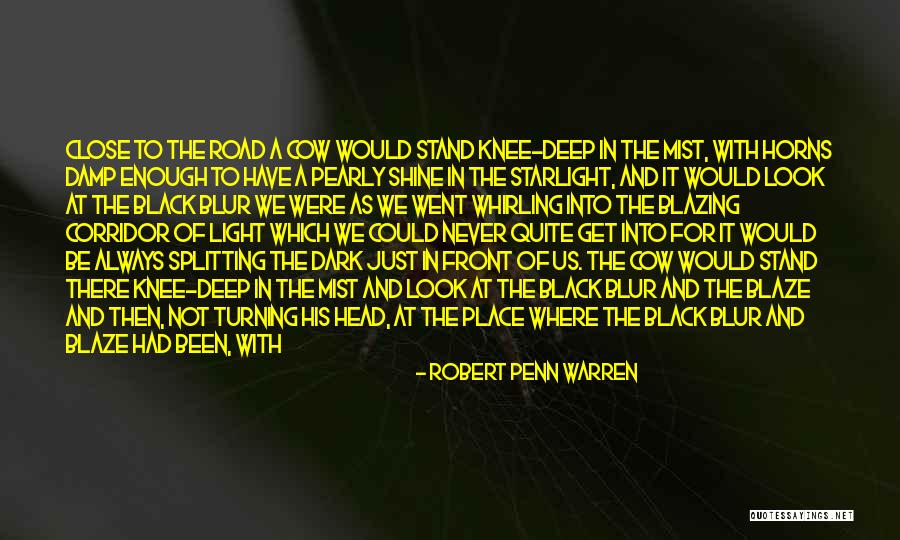 Delewski Wroclaw Quotes By Robert Penn Warren Delewski Wroclaw Quotes By Robert Penn Warren
