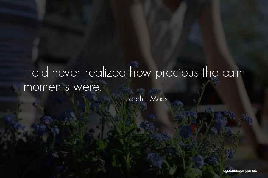 Delfino Quotes By Sarah J. Maas