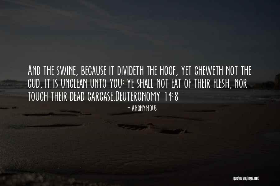 Delgiorno Medicine Quotes By Anonymous Delgiorno Medicine Quotes By Anonymous