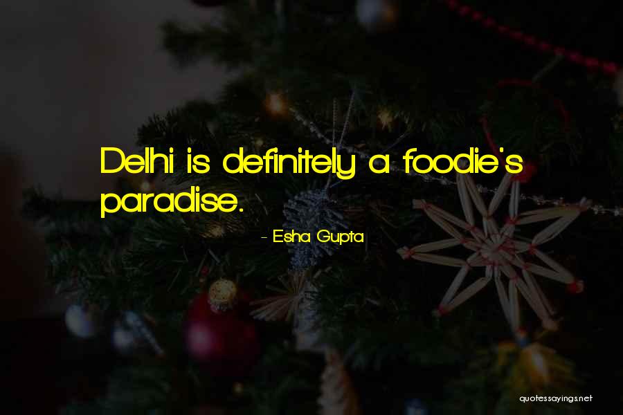 Delhi 6 Quotes By Esha Gupta Delhi 6 Quotes By Esha Gupta