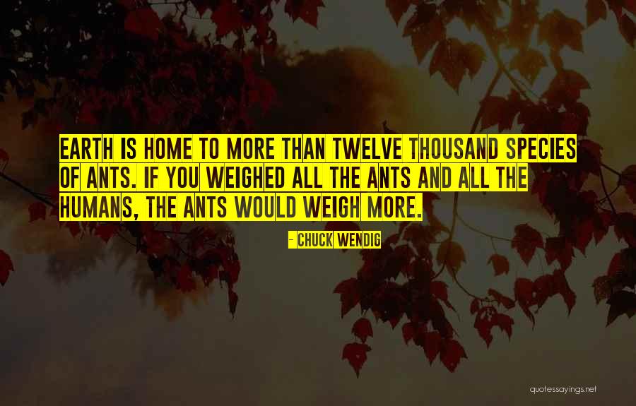 Delhi Ssc Quotes By Chuck Wendig Delhi Ssc Quotes By Chuck Wendig
