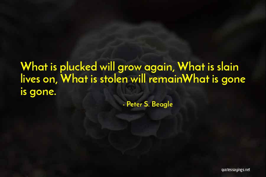 Delhis Quezada Quotes By Peter S. Beagle Delhis Quezada Quotes By Peter S. Beagle