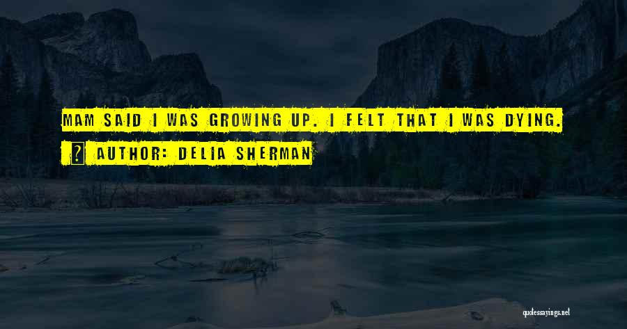 Delia Sherman Quotes 269976