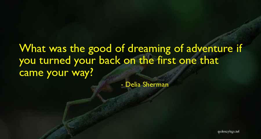 Delia Sherman Quotes 541926