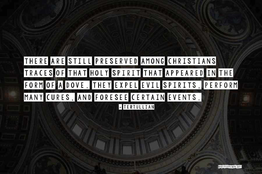 Delicacy Synonym Quotes By Tertullian Delicacy Synonym Quotes By Tertullian