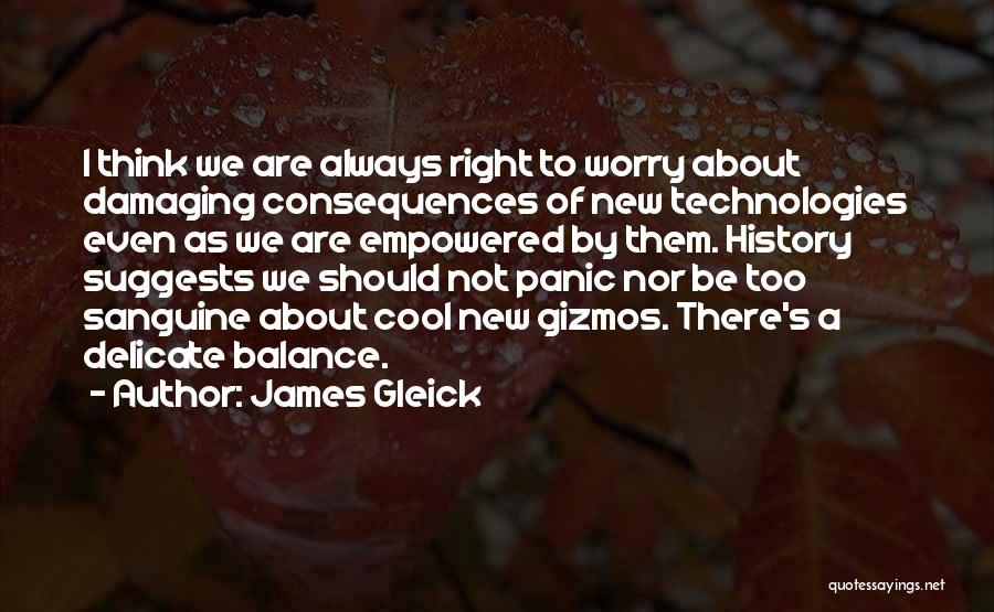 Delicate Balance Quotes By James Gleick