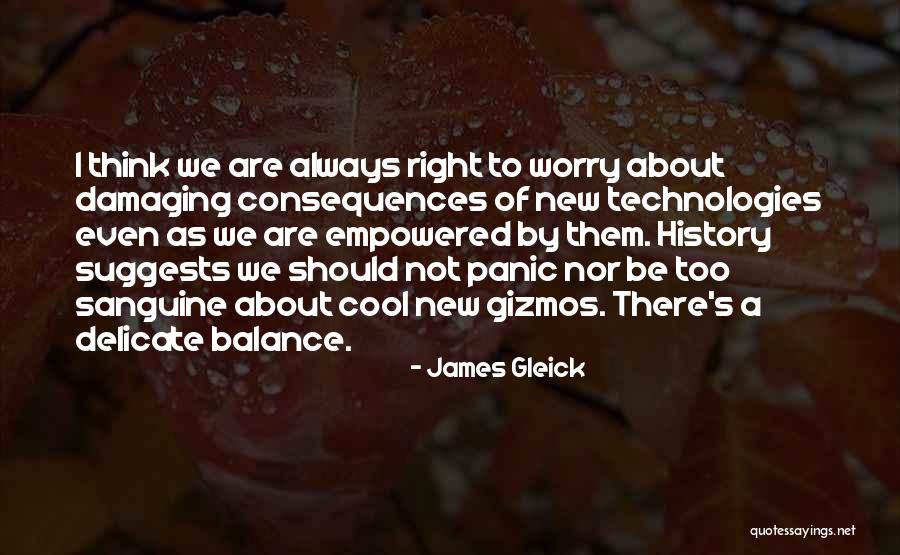 Delicate Balance Quotes By James Gleick