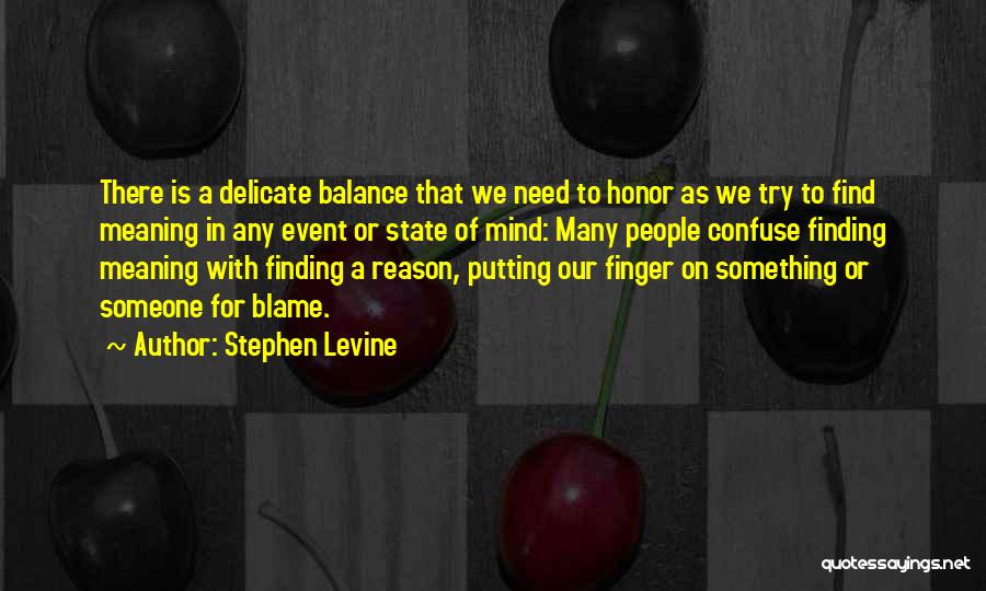 Delicate Balance Quotes By Stephen Levine