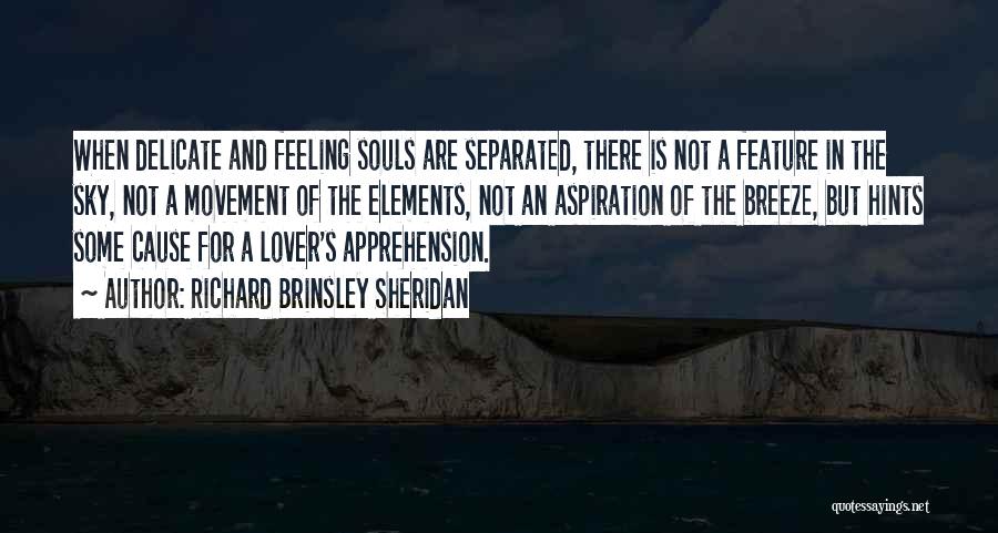 Delicate Feelings Quotes By Richard Brinsley Sheridan Delicate Feelings Quotes By Richard Brinsley Sheridan