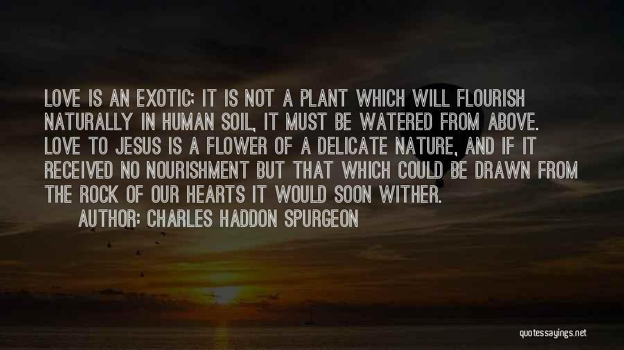 Delicate Flower Quotes By Charles Haddon Spurgeon