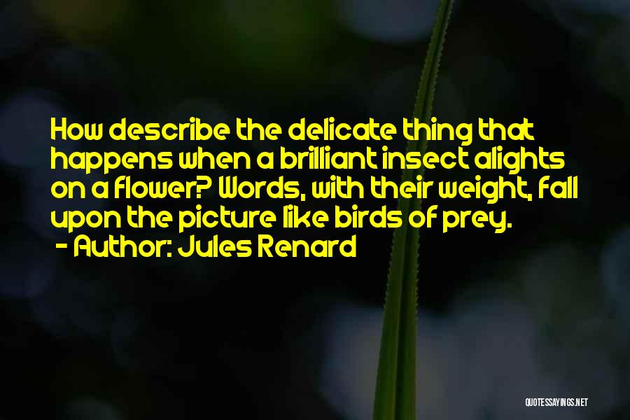 Delicate Flower Quotes By Jules Renard