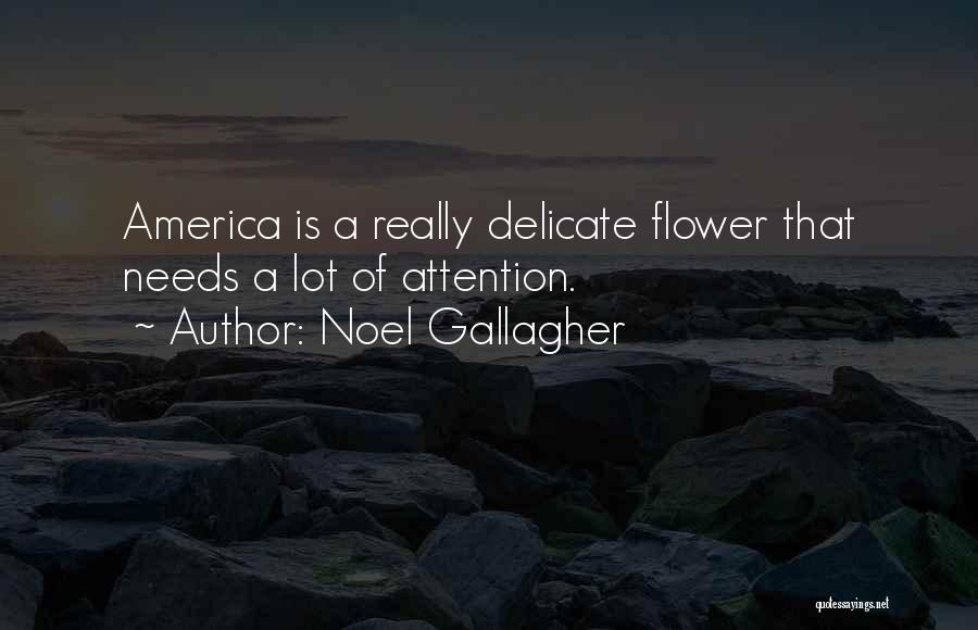 Delicate Flower Quotes By Noel Gallagher