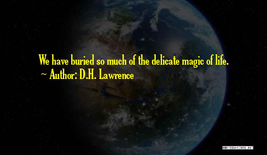 Delicate Life Quotes By D.H. Lawrence