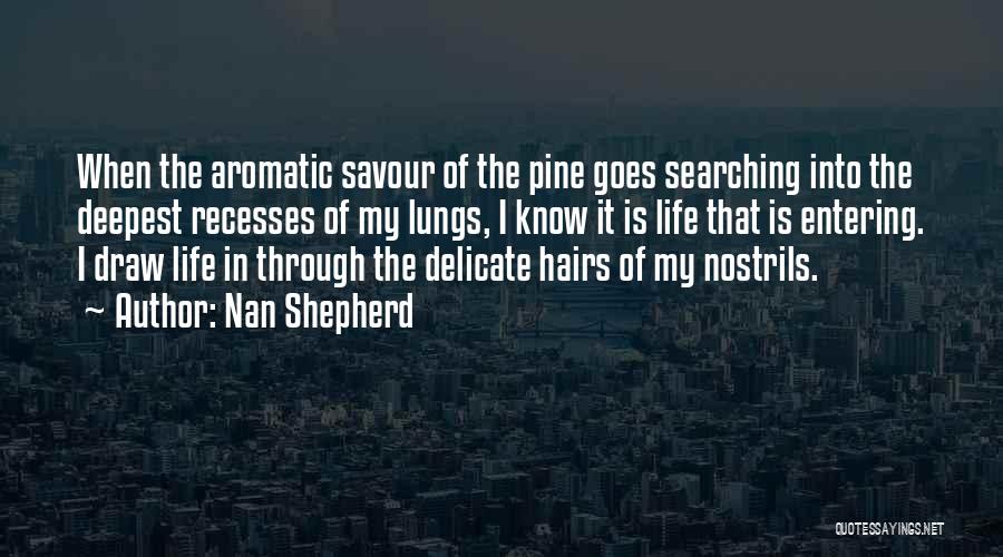 Delicate Life Quotes By Nan Shepherd