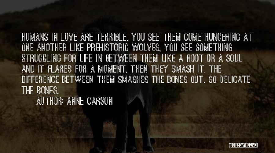 Delicate Love Quotes By Anne Carson