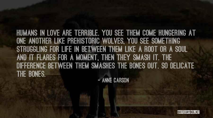 Delicate Love Quotes By Anne Carson