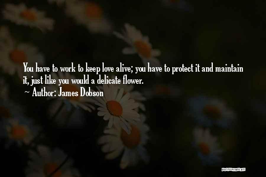 Delicate Love Quotes By James Dobson