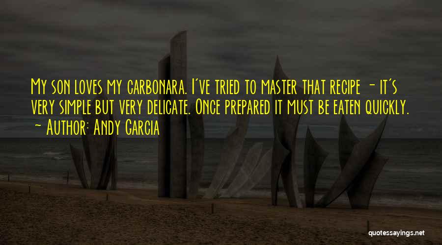 Delicate Quotes By Andy Garcia