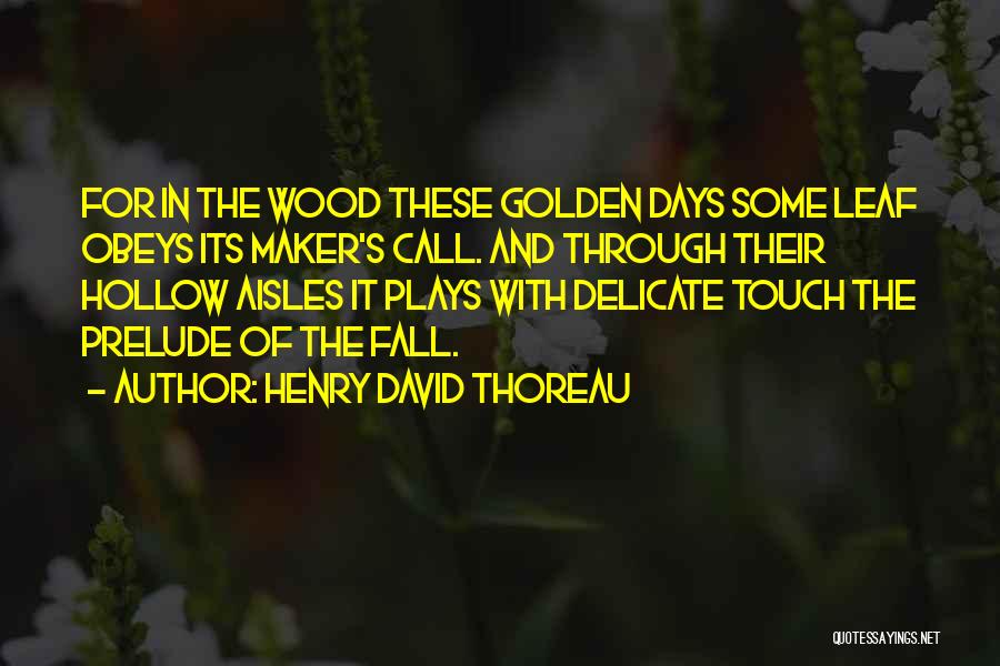 Delicate Quotes By Henry David Thoreau