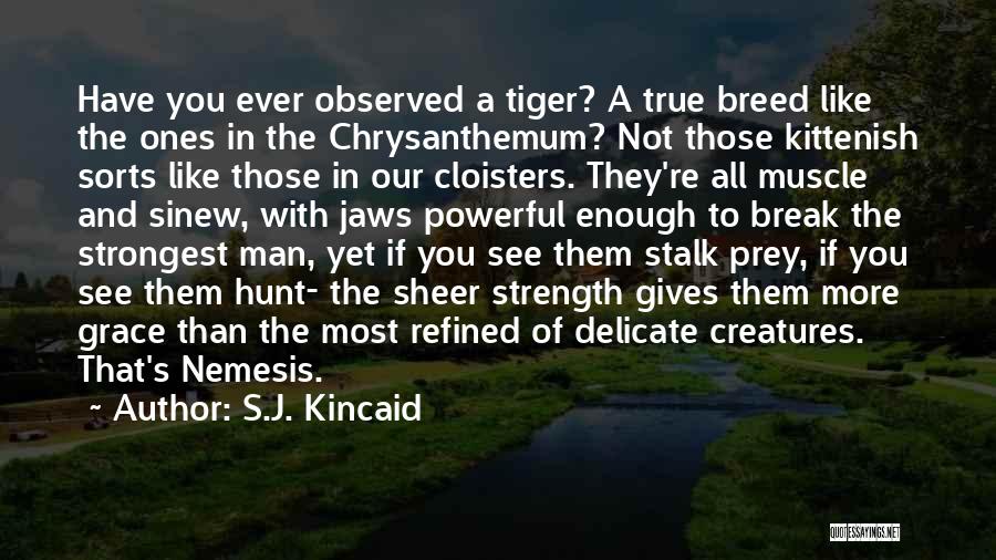 Delicate Quotes By S.J. Kincaid