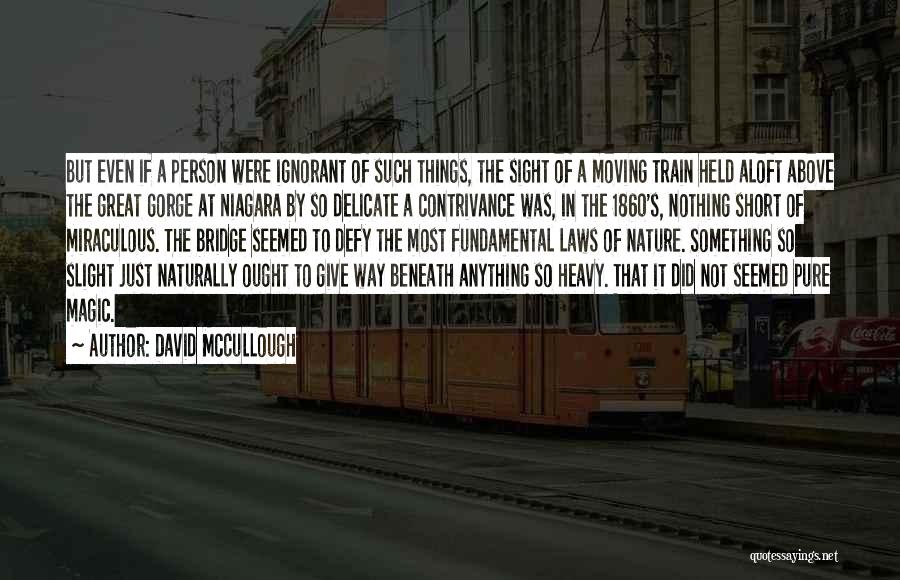 Delicate Things Quotes By David McCullough