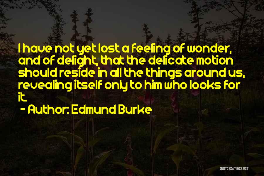 Delicate Things Quotes By Edmund Burke