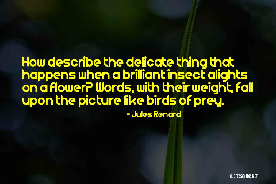 Delicate Things Quotes By Jules Renard